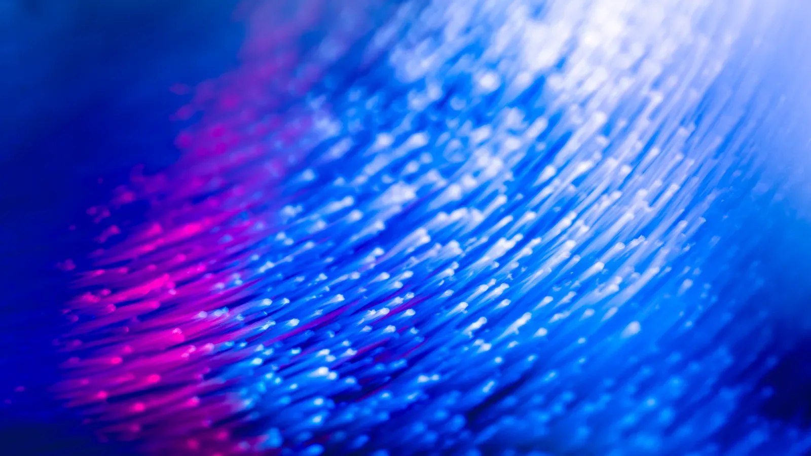 Abstrakte blau-violette Lichtspuren als Symbol fuer schnelle Glasfaserverbindungen